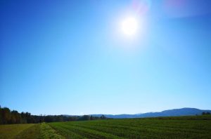 Fot. Karina Płaszczyca/ joomla.wadowice24.promo-peak.ovh