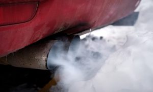 Fot. materiał promocyjny reklamodawcy