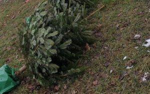 Fot. nadesłane dla joomla.wadowice24.promo-peak.ovh