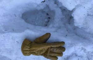 Fot. Maciej Moskwa ratownik GOPR