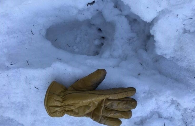 Fot. Maciej Moskwa ratownik GOPR