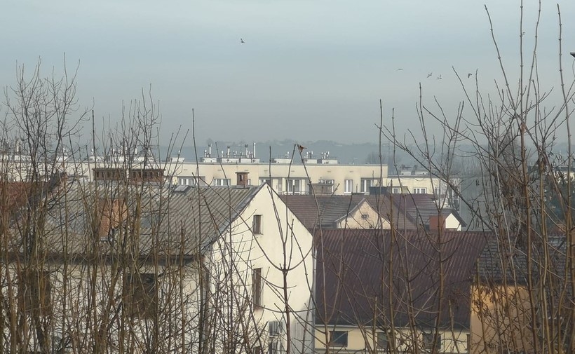 Fot. joomla.wadowice24.promo-peak.ovh