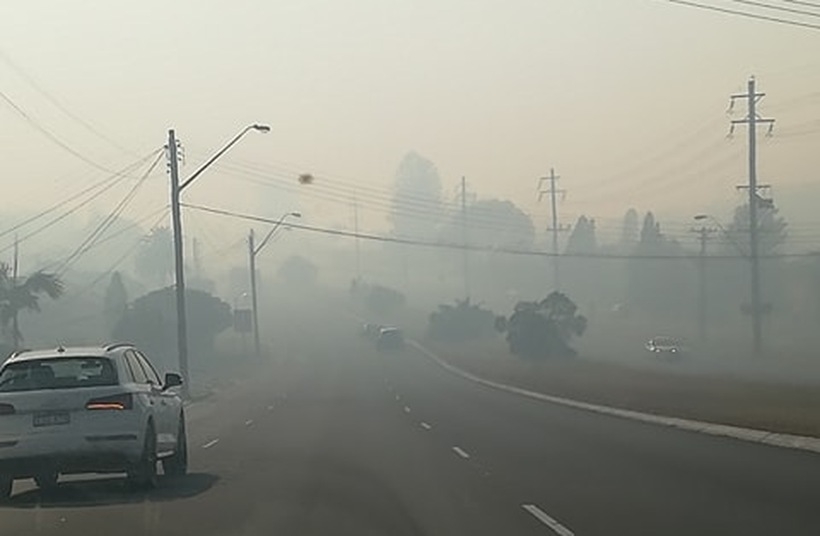 Fot. Edyta/ #dlajoomla.wadowice24.promo-peak.ovh