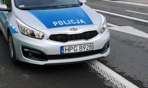 Fot. Karina Płaszczyca