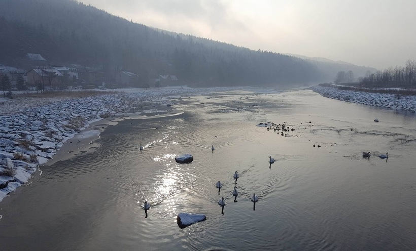 Fot. Karina Płaszczyca/joomla.wadowice24.promo-peak.ovh