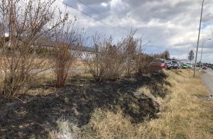 Fot. Marcin Płaszczyca/ joomla.wadowice24.promo-peak.ovh