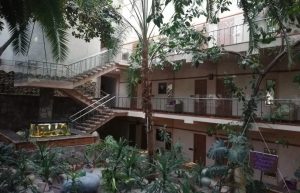 Fot. materiał promocyjny reklamodawcy