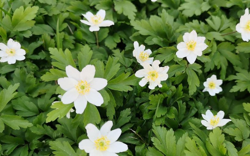 Fot.Karina Płaszczyca