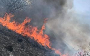 Fot. Facebook/ OSP Stryszów