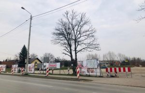 Fot. Karina Płaszczyca