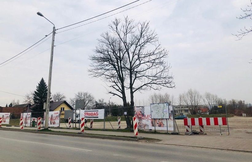 Fot. Karina Płaszczyca