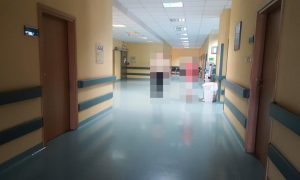 Fot. Karina Płaszczyca