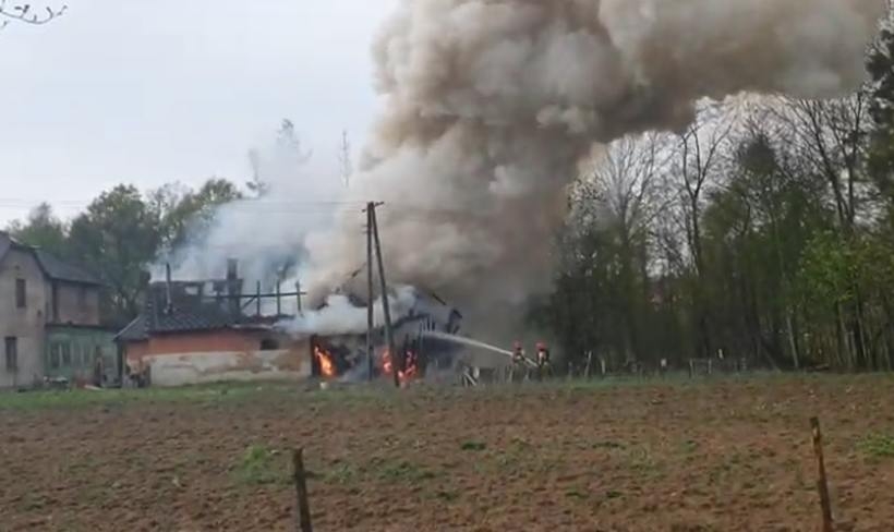 Fot. kadr z filmu na YouTube