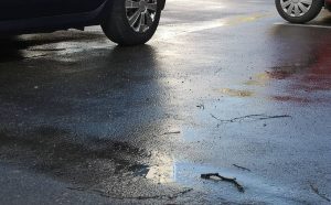 Fot. Karina Płaszczyca