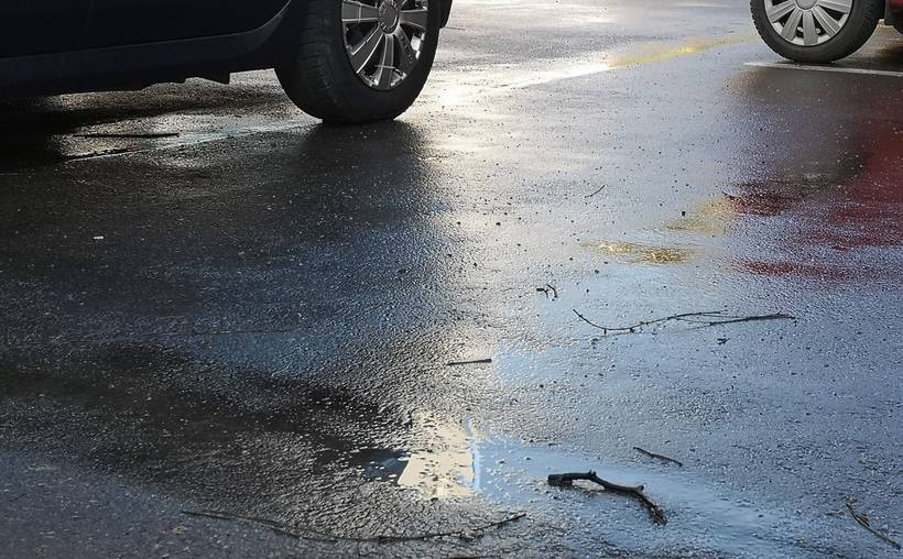 Fot. Karina Płaszczyca