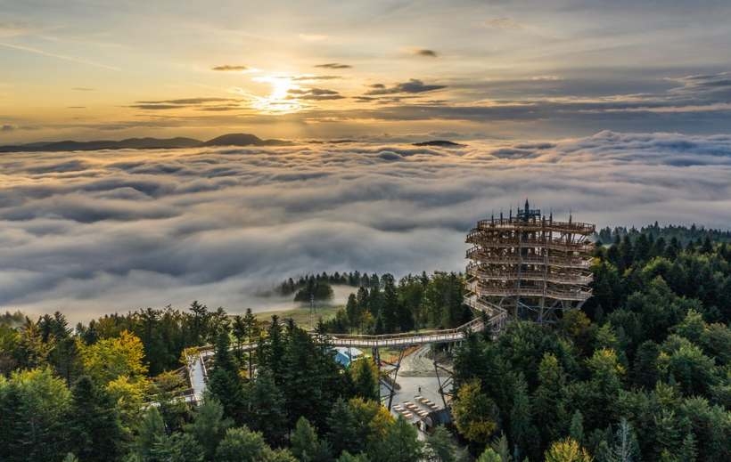 Fot. materiał prasowy