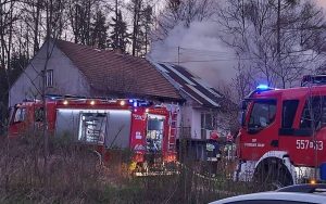 Fot. Strażacy/nadesłane