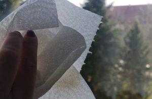 Fot. Karina Płaszczyca