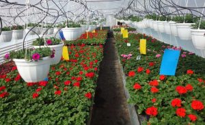 Fot. Materiał promocyjny reklamodawcy