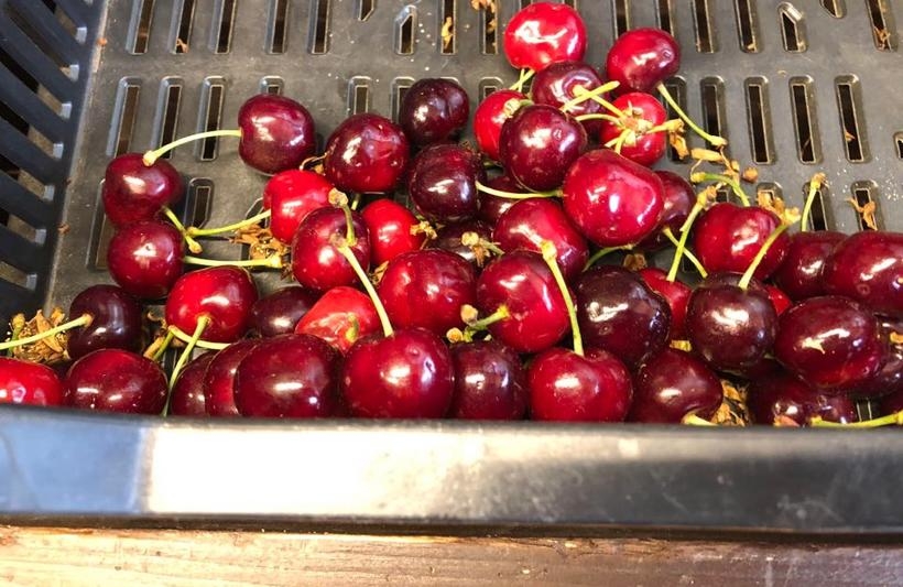 Fot. Marcin Płaszczyca