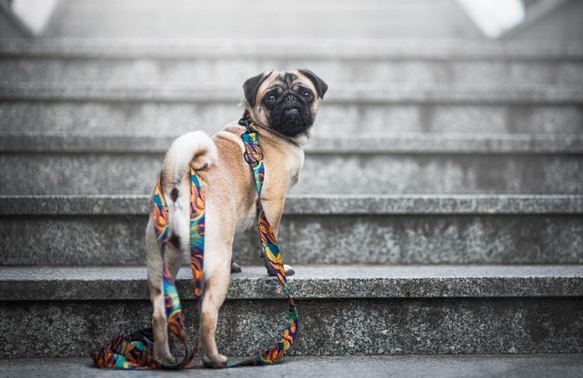 Fot. materiały właścicielki