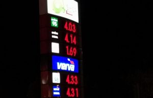 Fot. Karina Płaszczyca