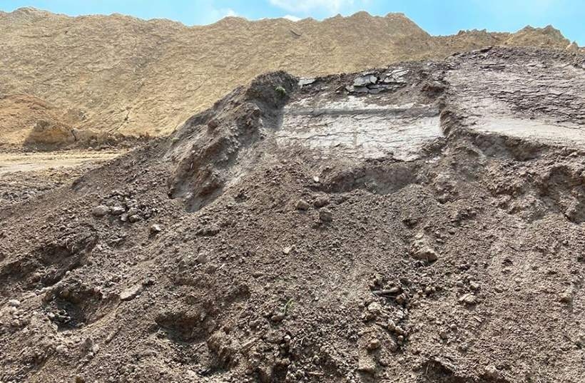 Fot. materiał prasowy reklamodawcy