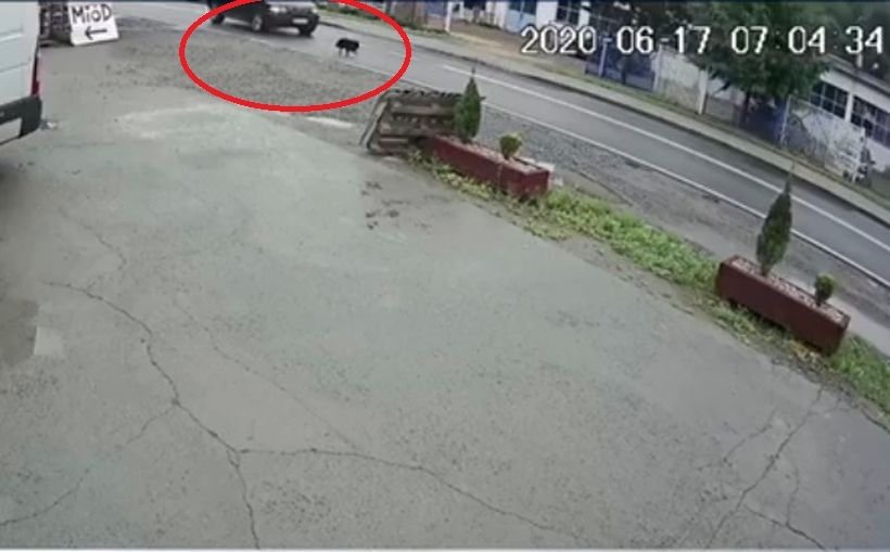 Fot. Małopolska Policja