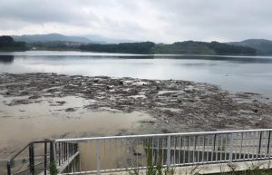 Fot. Facebook/ joomla.wadowice24.promo-peak.ovh/ Sabi