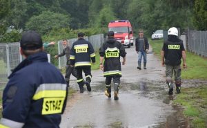 Fot. Miasto i Gmina Sieniawa