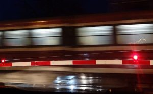 Fot. Karina Płaszczyca