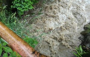 Fot. Karina Płaszczyca