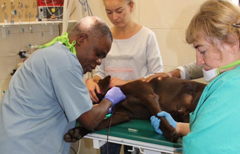 Fot. Nowiny Andrychowskie