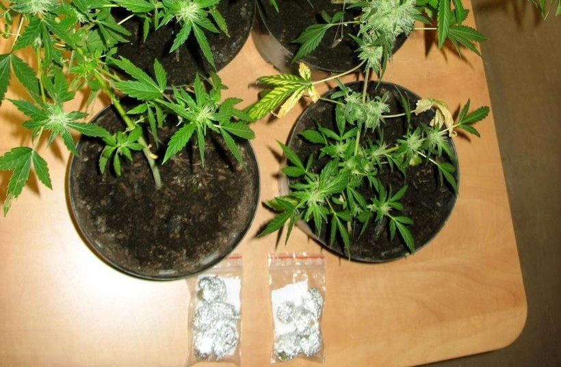 Fot. Archiwum KPP Wadowice