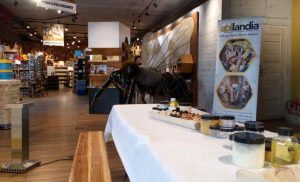 Fot. materiał prasowy