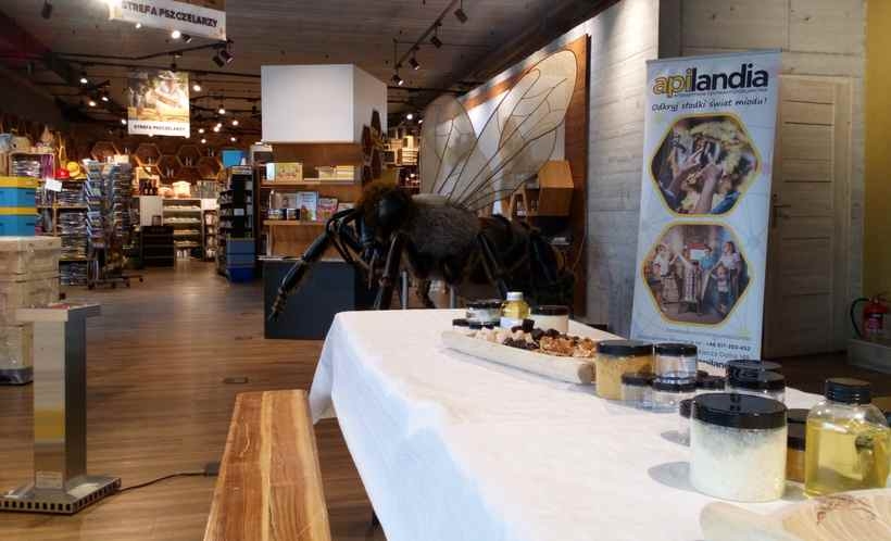 Fot. materiał prasowy