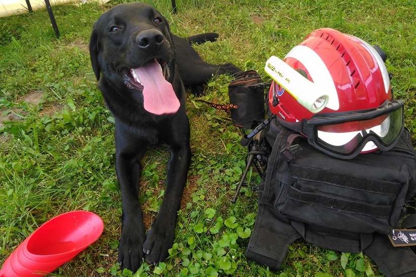 Fot. Facebook/ OSP Wieprz