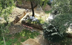 Fot. Karina Płaszczyca