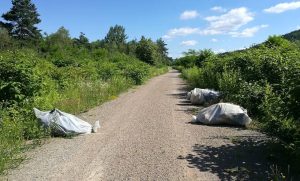 Fot. nadesłane #dlawadowice24