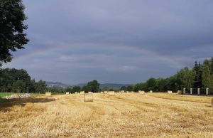 Fot. Karina Płaszczyca