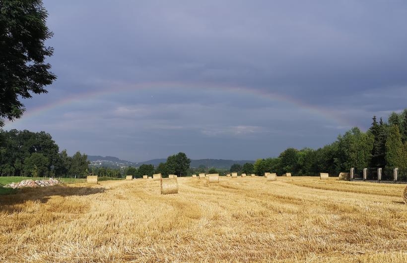 Fot. Karina Płaszczyca