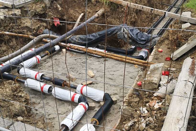 Fot. Karina Płaszczyca