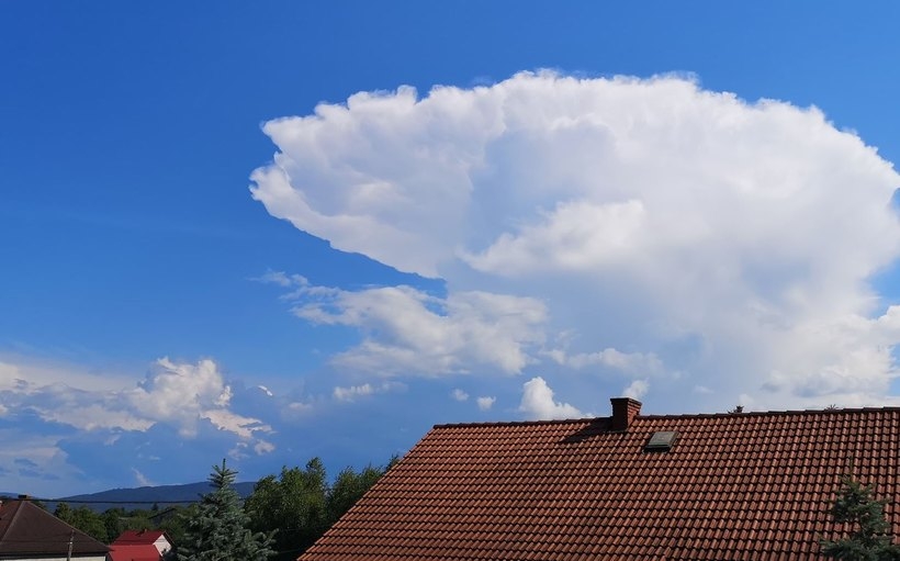 Fot. Karina Płaszczyca