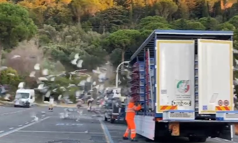 Fot. film na Facebooku