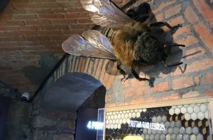 Fot. Materiał prasowy