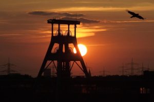 Fot. materiał promocyjny reklamodawcy