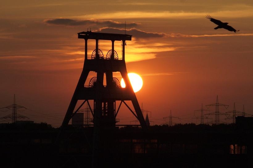 Fot. materiał promocyjny reklamodawcy