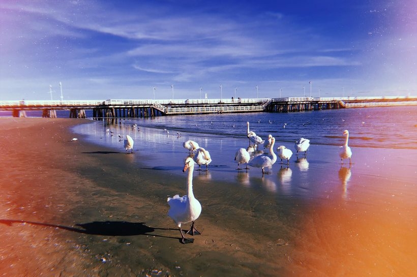 Fot. Julia Płaszczyca