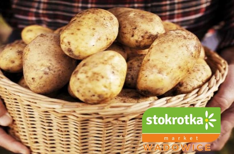 Fot. materiał promocyjny reklamodawcy