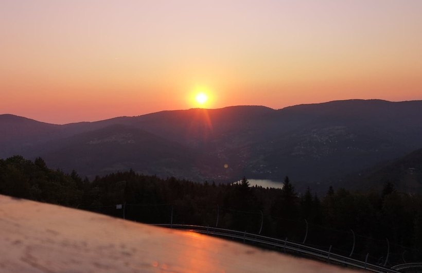 Fot. Karina Płaszczyca